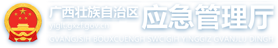  廣西壯族自治區應急管理廳網(wǎng)站